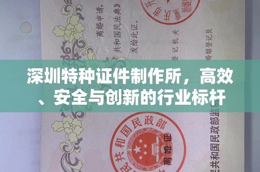 珠海深圳特种证件制作所，高效、安全与创新的行业标杆