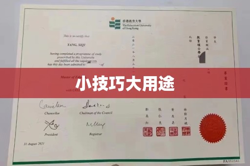 珠海小技巧大用途