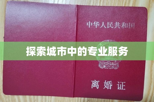 珠海探索城市中的专业服务