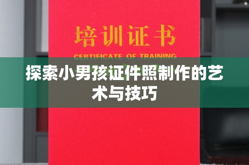 珠海探索小男孩证件照制作的艺术与技巧