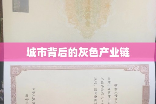 珠海城市背后的灰色产业链
