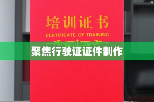 珠海聚焦行驶证证件制作