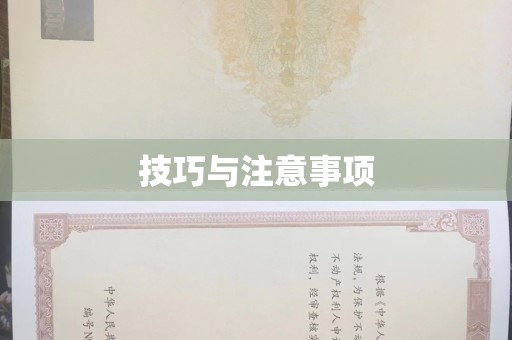 珠海技巧与注意事项